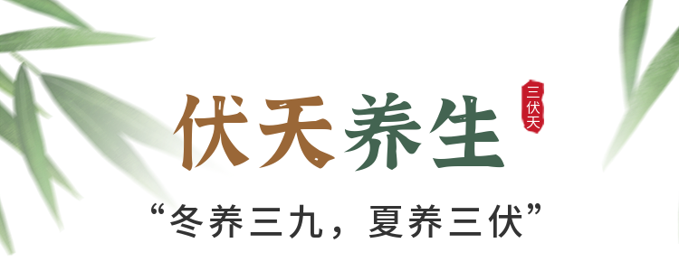 冬养三九 夏养三伏——督脉灸