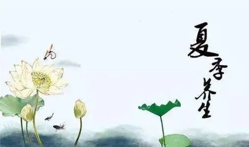 健康科普|解读夏季养生的要点