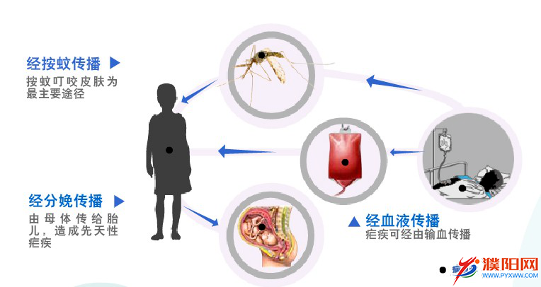 预防疟疾指南